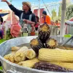 Feria del Maíz