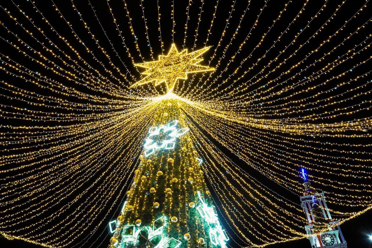 298639f7-d2bb-4d7f-bfac-2880903be6dd