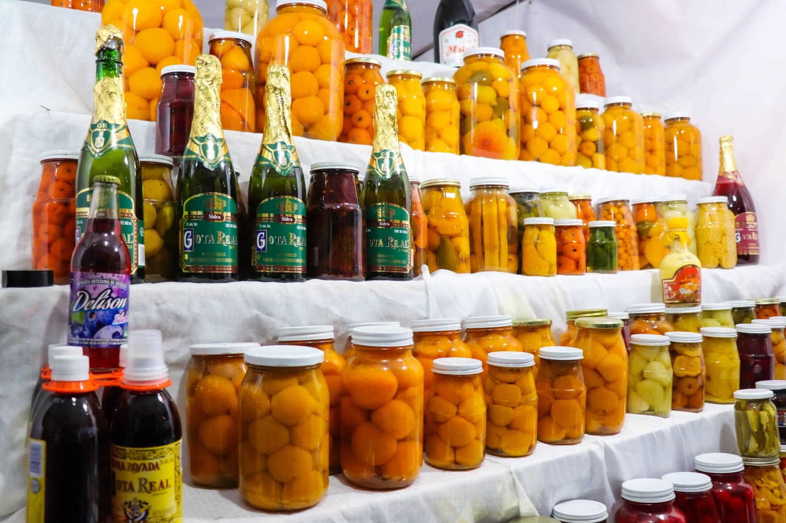 8483e7e3-4da7-446d-a8cc-ecc93757b055