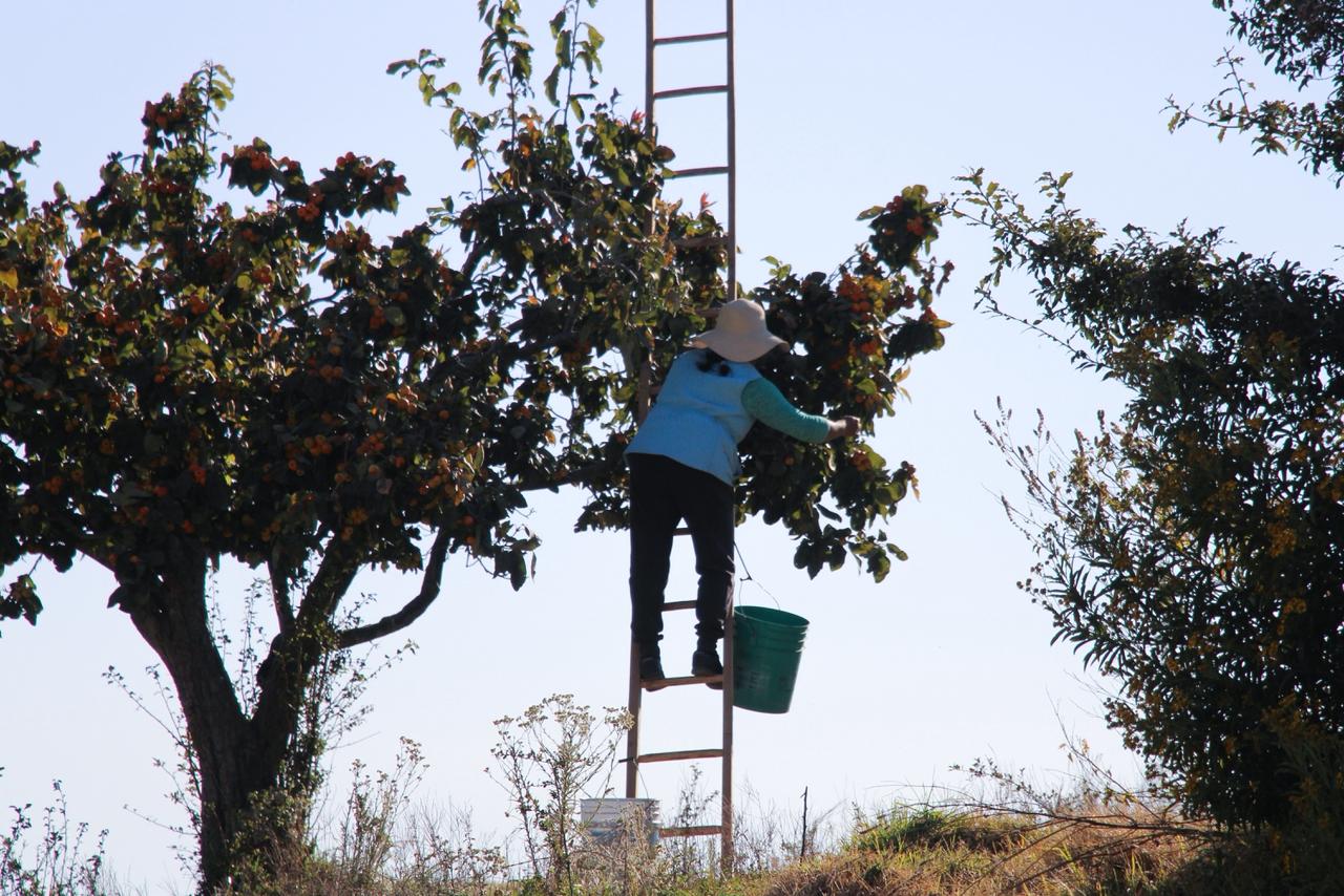 9bd3d140-7e33-4c58-9d12-c0c4841837a6