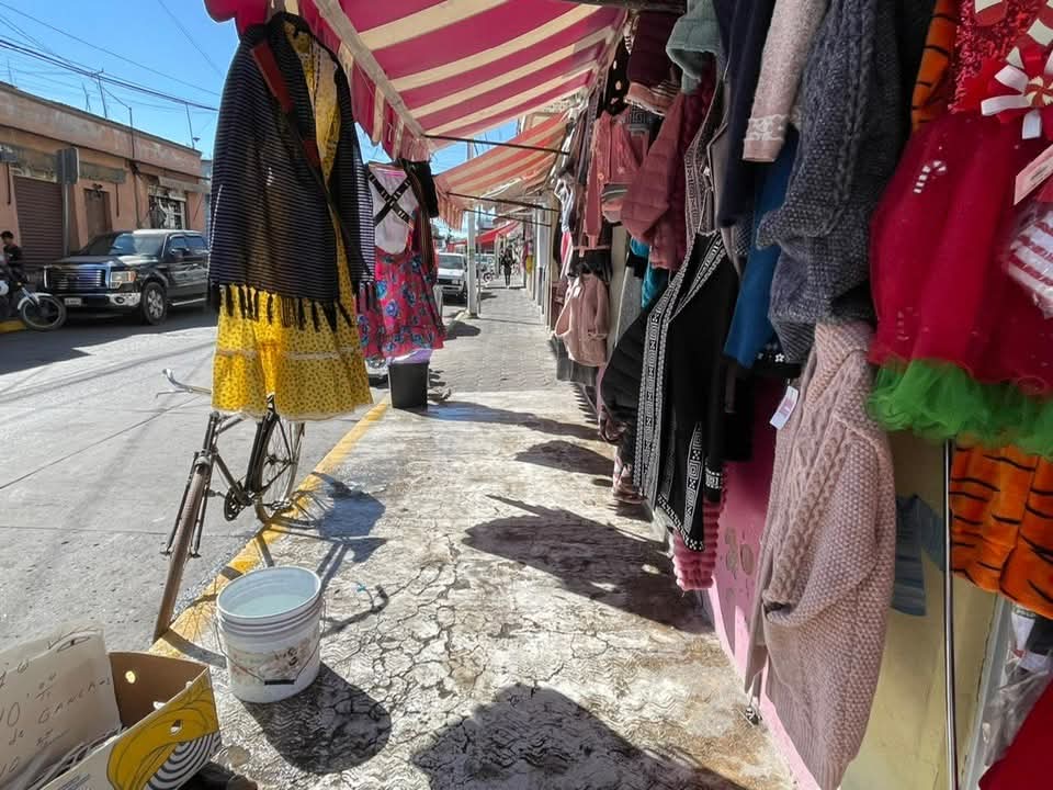 WhatsApp Image 2025-11-19 at 2.32.11 PM (1)