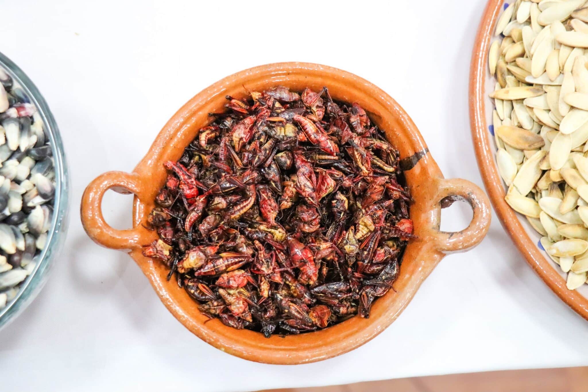 WhatsApp Image 2025-11-24 at 2.52.33 PM (1)