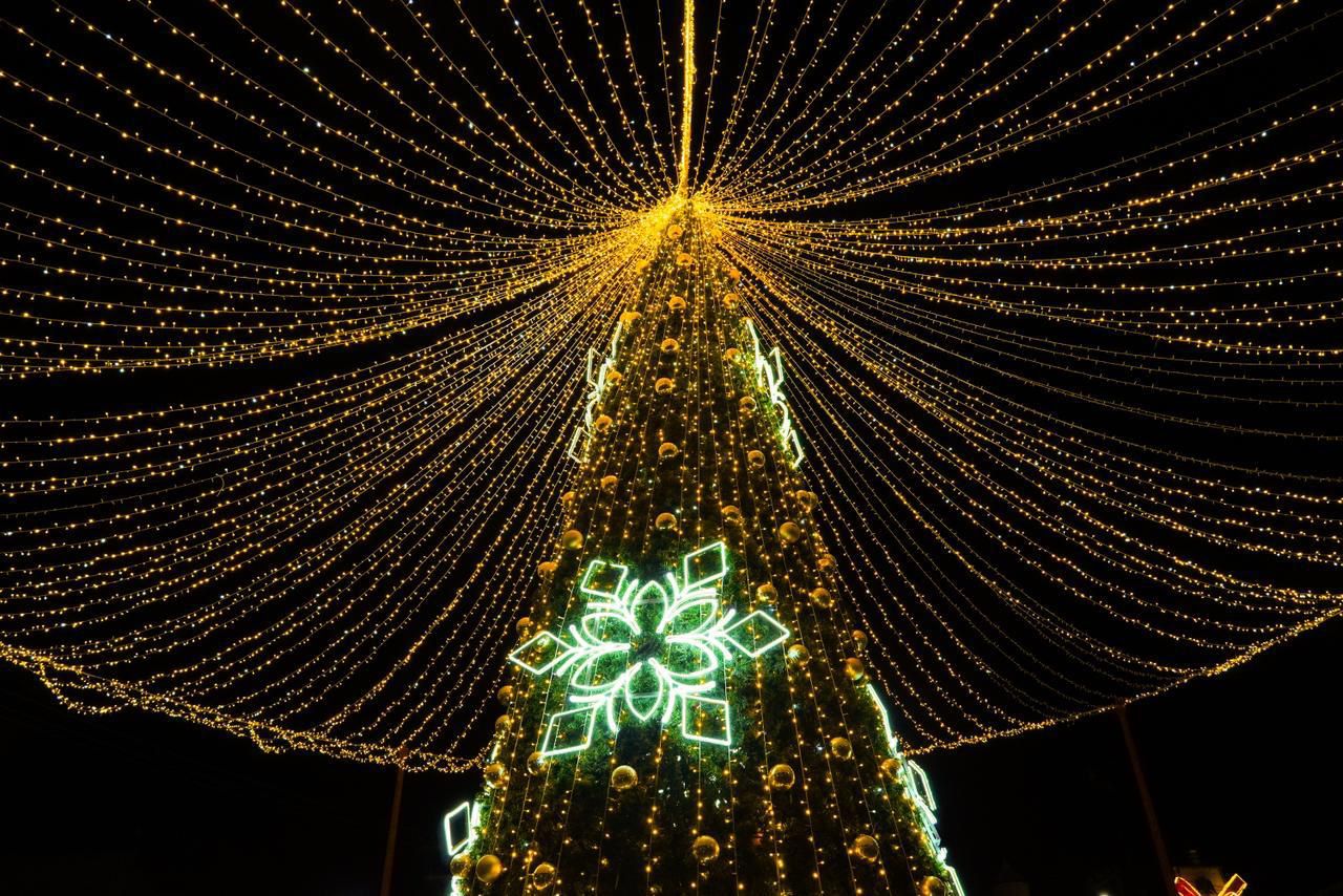 ace733b9-454b-44a4-83c0-37e1d302572d