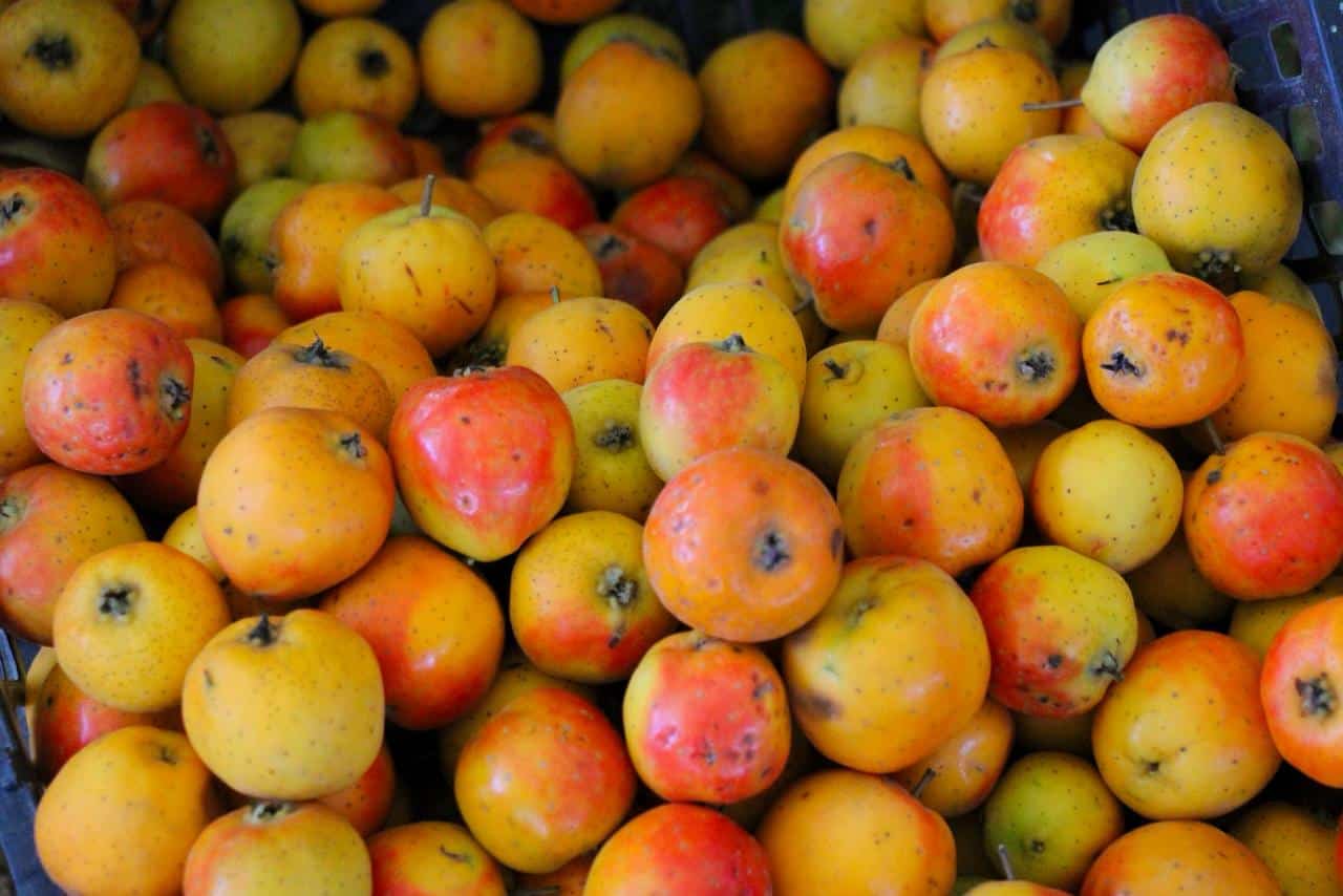 afe9547e-d71e-423e-aae3-649b512d0e4e