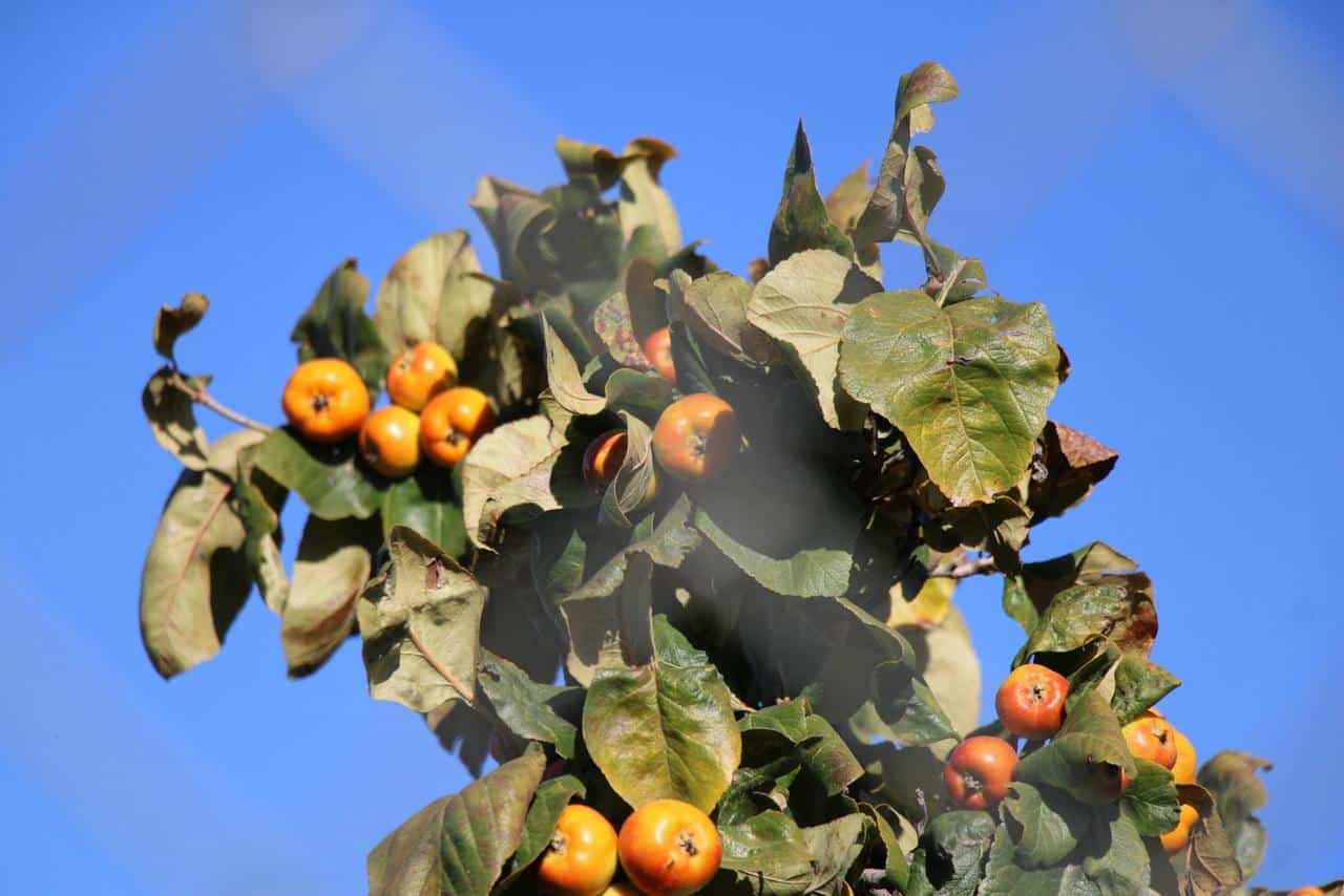 b8978516-9b1e-44b0-8254-f5a1794293ac