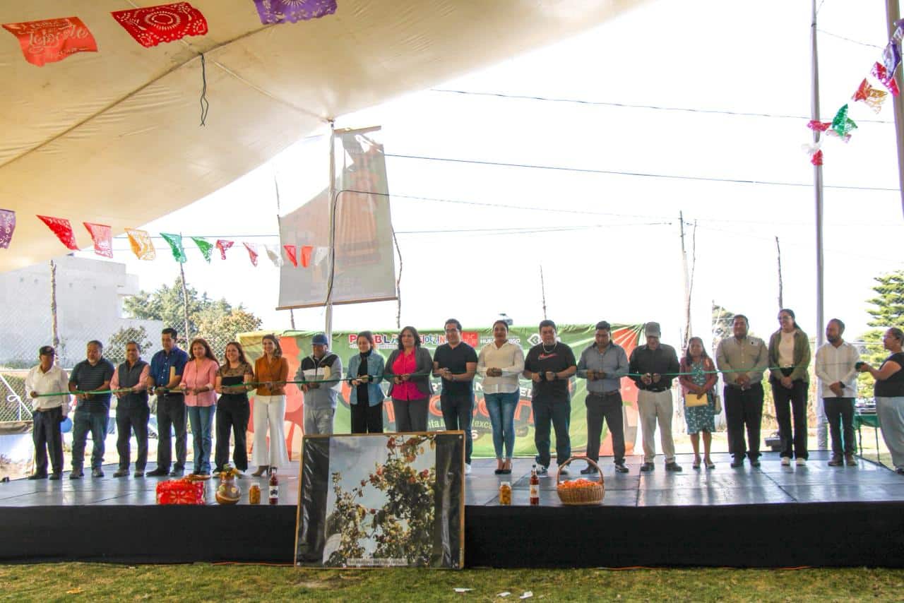 d695f10f-a238-4924-9091-a9b340af4fae