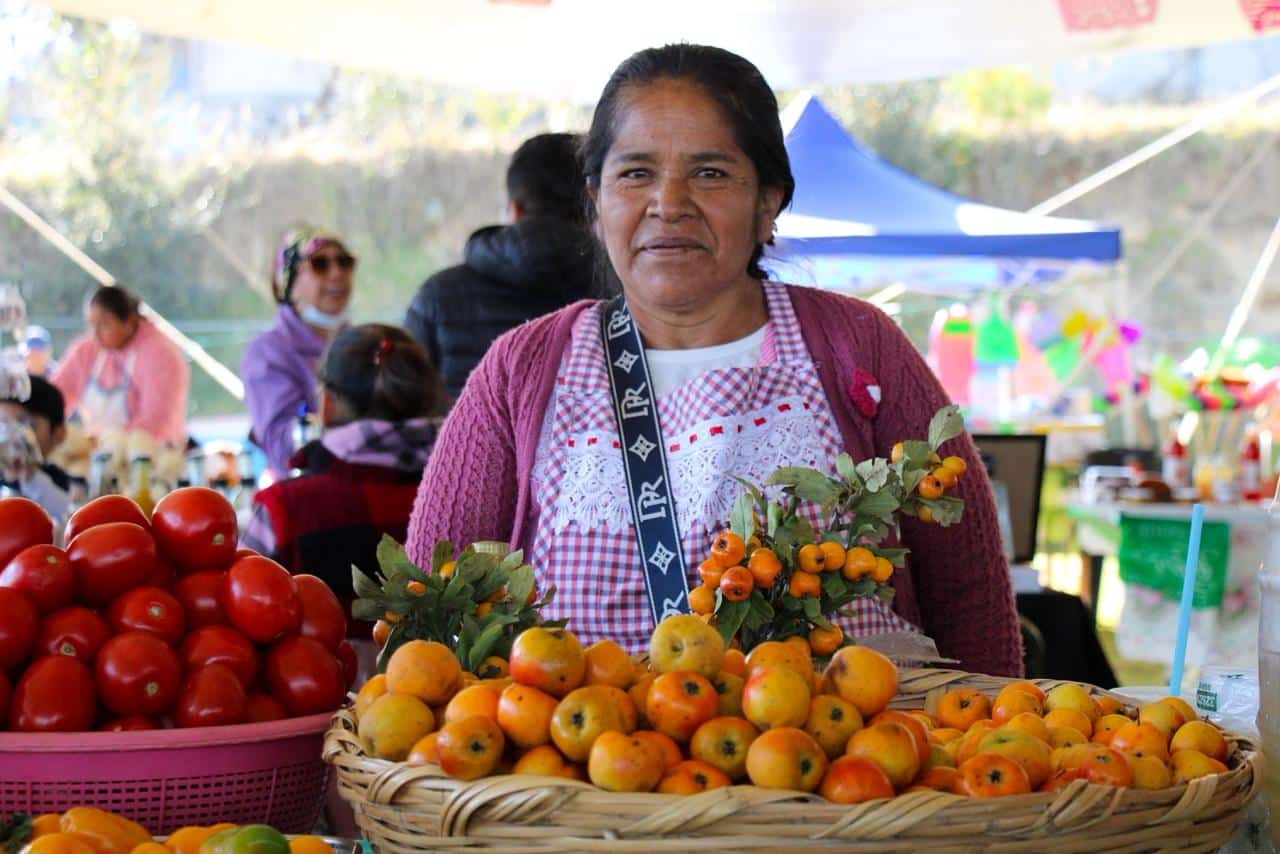 e9db8e2b-37ac-47b2-8d89-227db3e90369