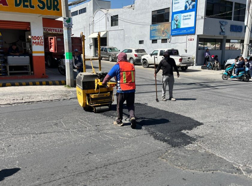 WhatsApp Image 2026-02-11 at 8.37.01 AM