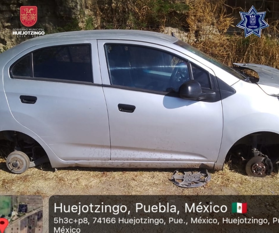 WhatsApp Image 2026-02-12 at 5.12.08 PM (2)