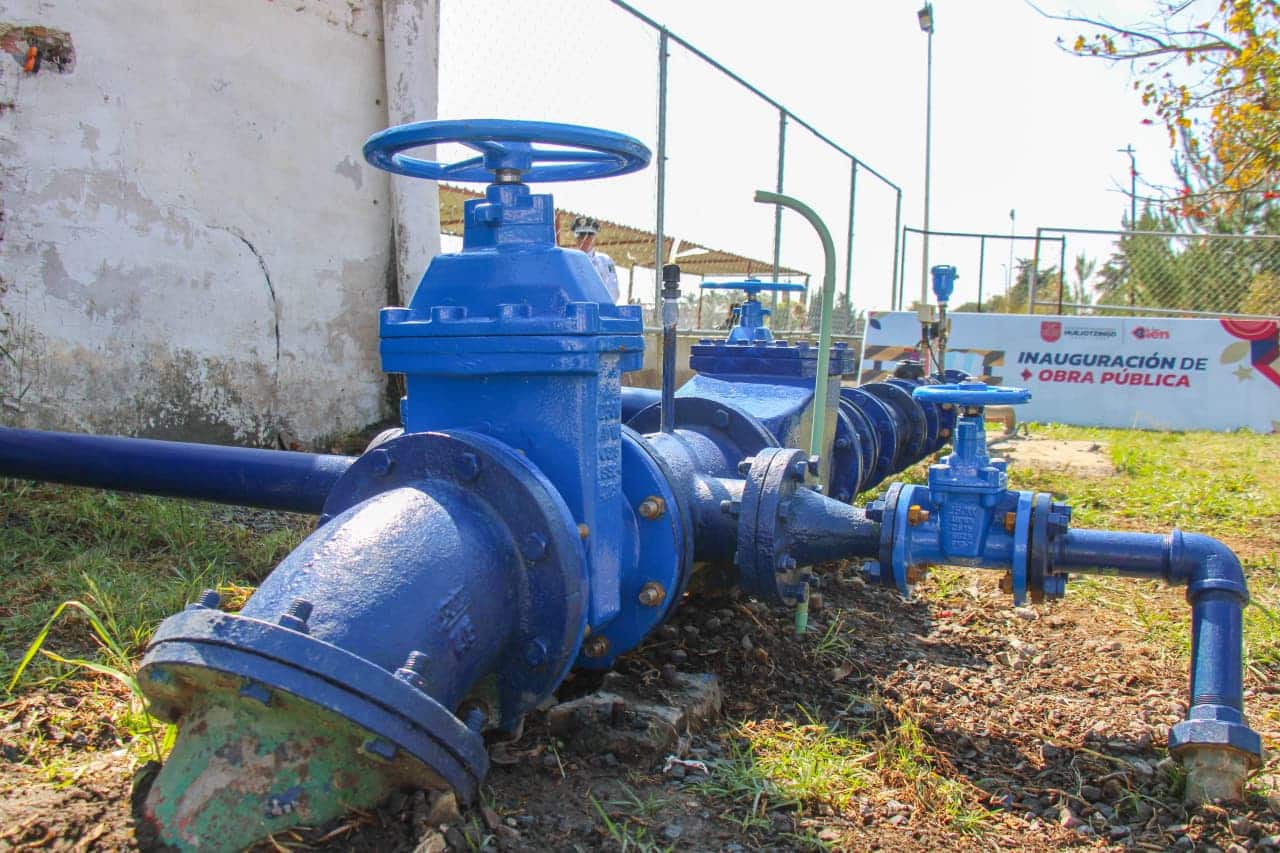 WhatsApp Image 2026-02-19 at 2.47.45 PM