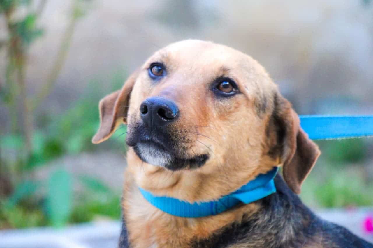 WhatsApp Image 2026-02-26 at 11.41.45 AM (1)