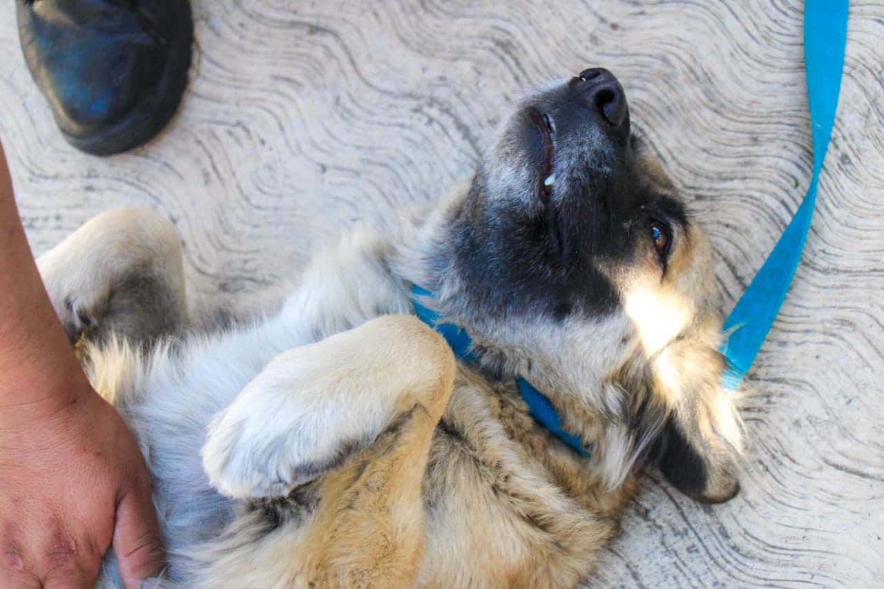 WhatsApp Image 2026-02-26 at 11.41.45 AM