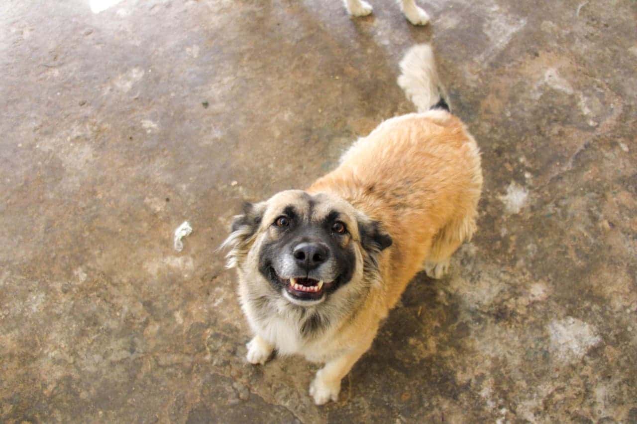 WhatsApp Image 2026-02-26 at 11.41.46 AM (1)