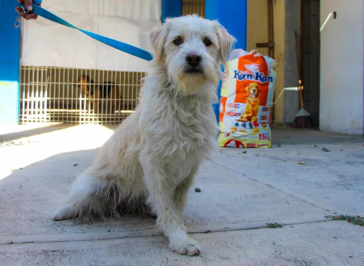 WhatsApp Image 2026-02-26 at 11.41.46 AM