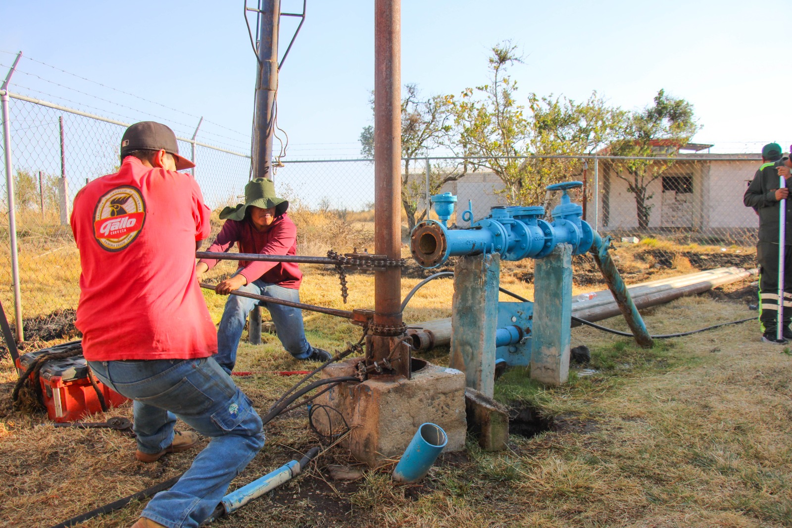 WhatsApp Image 2026-03-03 at 3.08.08 PM (1)