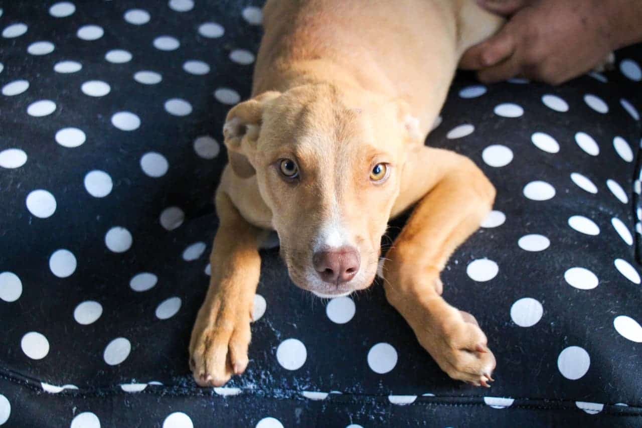 WhatsApp Image 2026-04-02 at 8.45.04 AM (1)