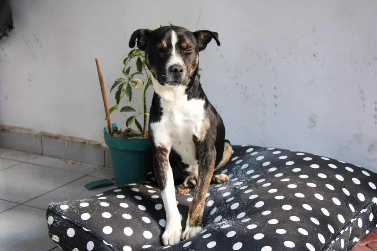 WhatsApp Image 2026-04-02 at 8.45.04 AM (2)