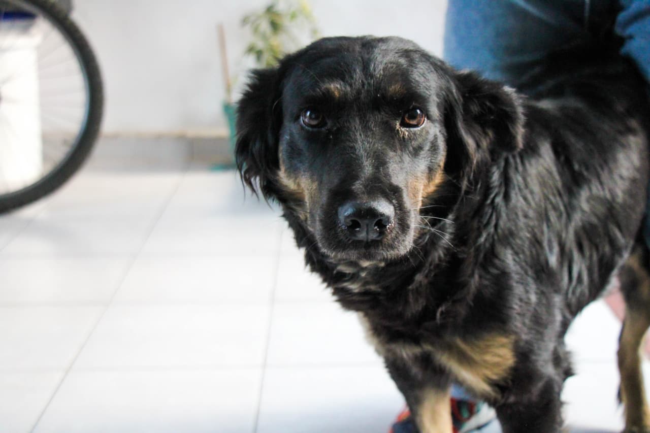 WhatsApp Image 2026-04-02 at 8.45.04 AM (3)