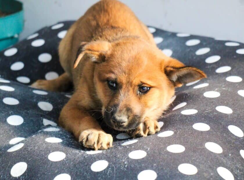 WhatsApp Image 2026-04-02 at 8.45.04 AM