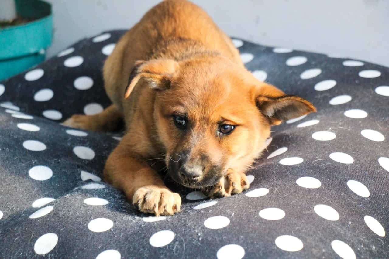 WhatsApp Image 2026-04-02 at 8.45.04 AM