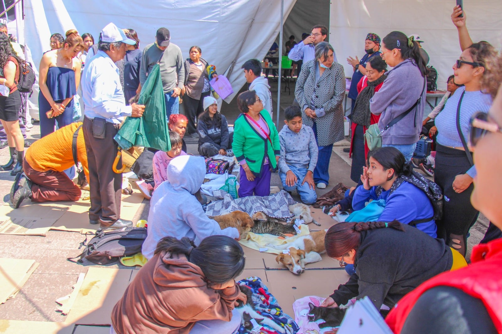 WhatsApp Image 2026-04-09 at 12.25.54 PM (1)