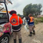 Gobierno de Huejotzingo condena crueldad animal y llama a fortalecer el respeto a la vida de los seres sintientes