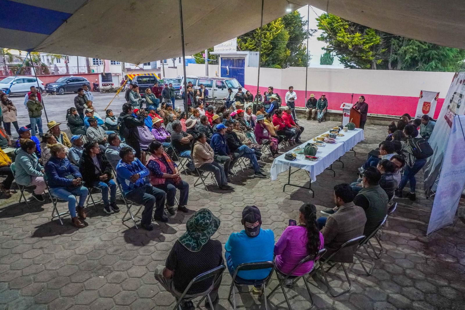 WhatsApp Image 2026-04-14 at 7.05.01 AM (3)