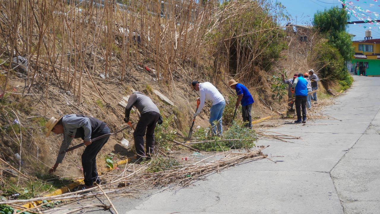 WhatsApp Image 2026-04-19 at 12.01.03 PM